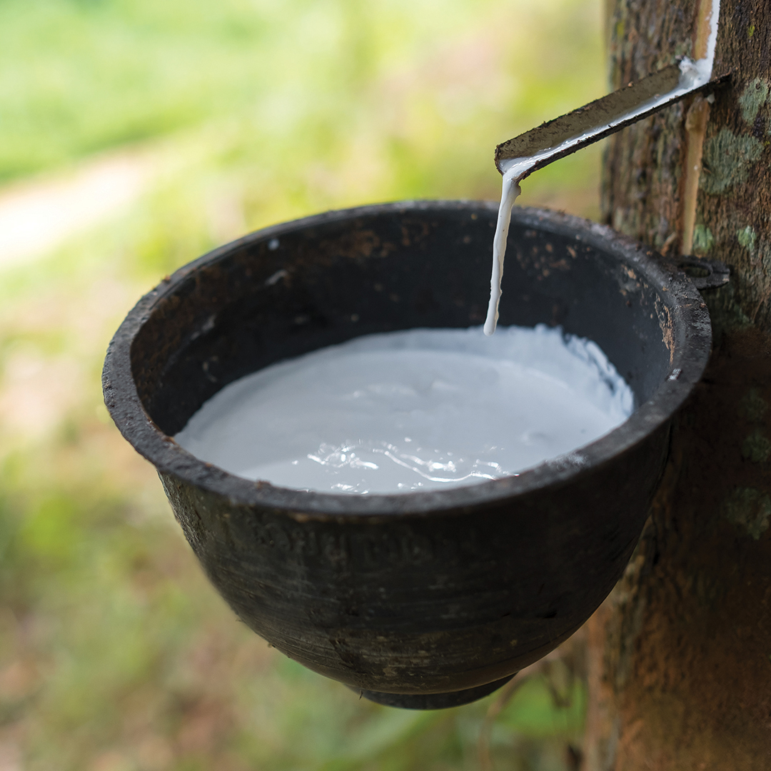 ULTRA LOW PROTEIN LATEX (ULPL)